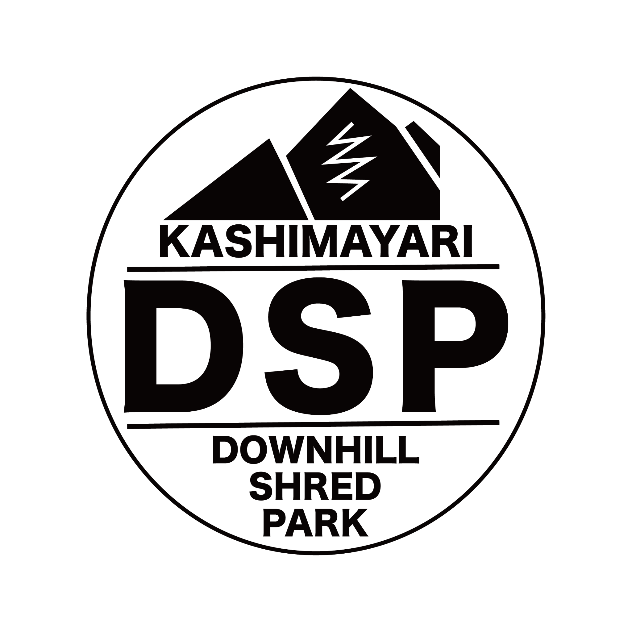DSP DOWNHILL SHRED PARK