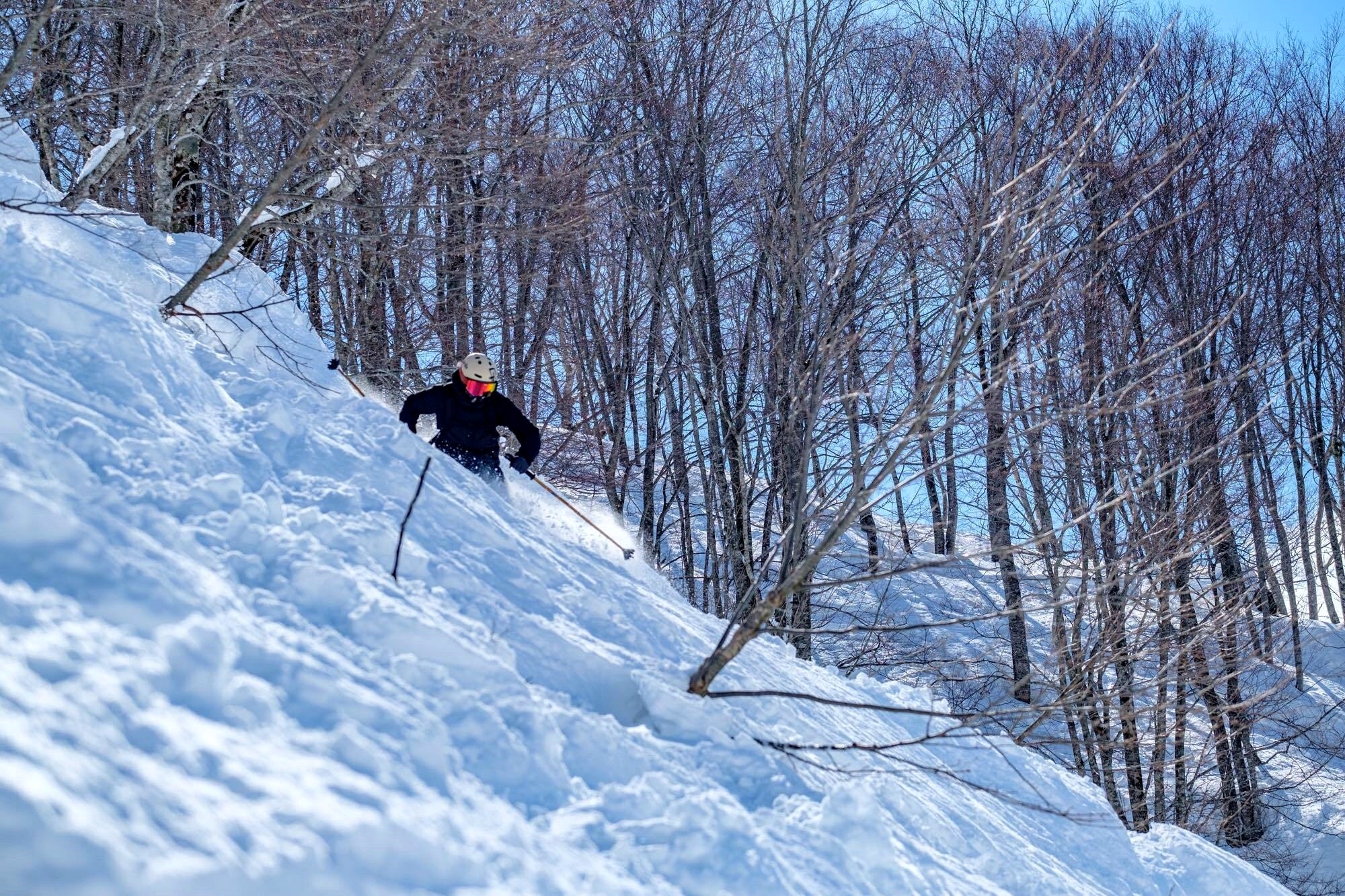 白馬の雪山で林間のパウダー斜面を滑走するスキーヤー