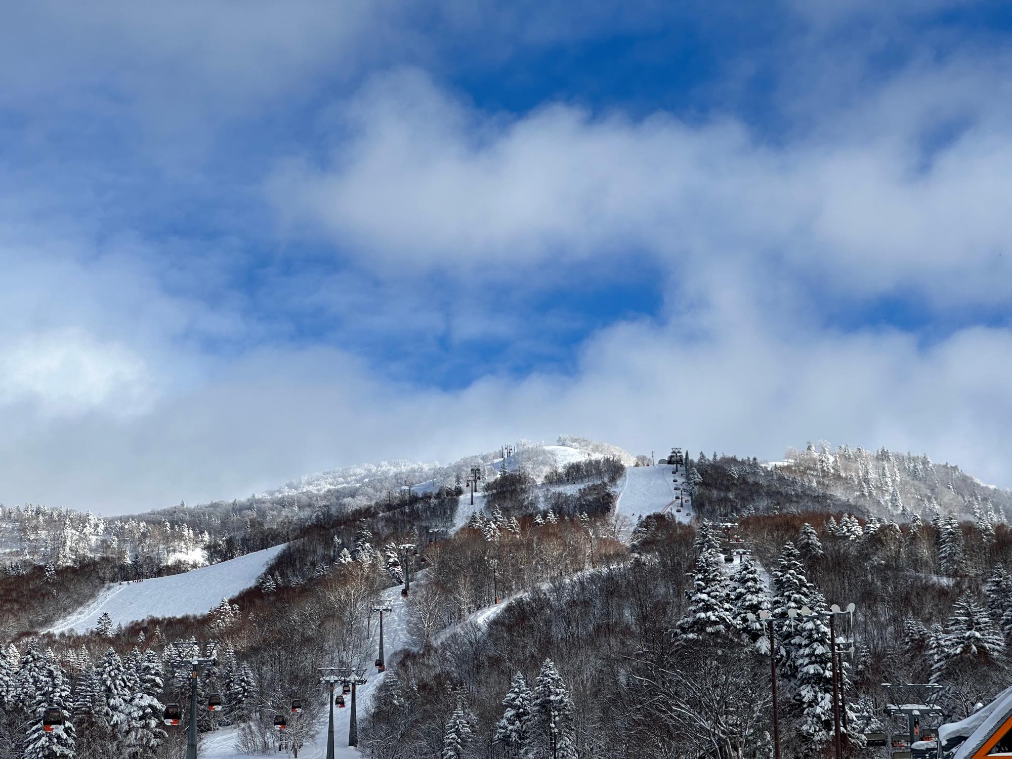 雪に覆われた山とスキーコースを見渡す景色